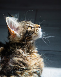 Similar image 21897584