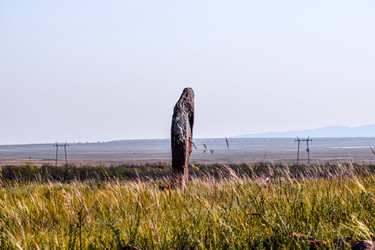 Similar image 21897370