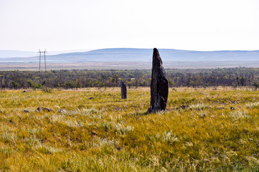 Similar image 21897373