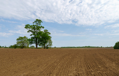 Similar image 21897375