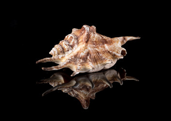 Similar image 21898878