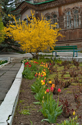 Similar image 21897793