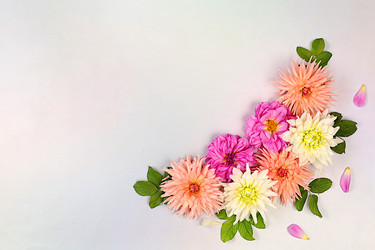 Similar image 21897409