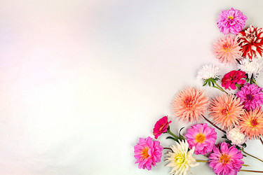 Similar image 21897413