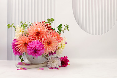 Similar image 21897414