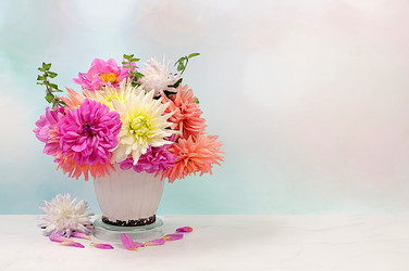 Similar image 21897555