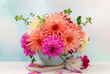 Similar image 21897556