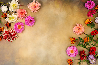 Similar image 21897557