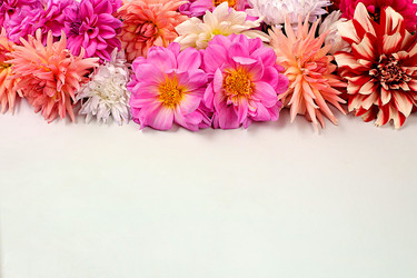 Similar image 21897559