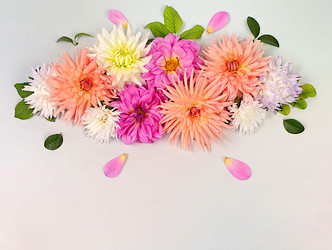 Similar image 21897561