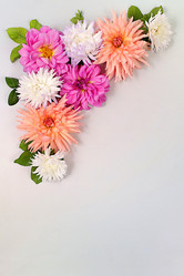 Similar image 21897562