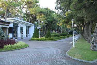 Similar image 21899445