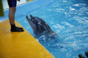 Similar image 21899449