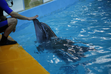 Similar image 21899450