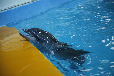 Similar image 21899451