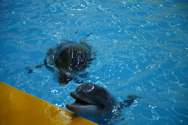 Similar image 21899452