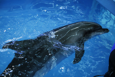 Similar image 21899454