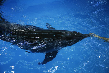 Similar image 21899455