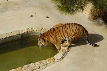 Similar image 21899458