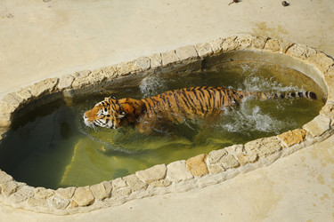 Similar image 21899459