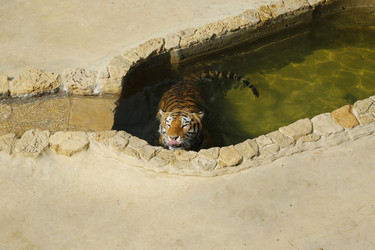 Similar image 21899460