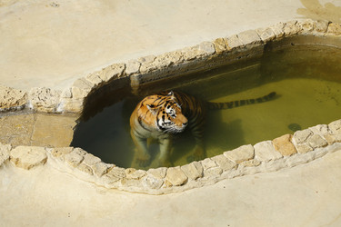 Similar image 21899461