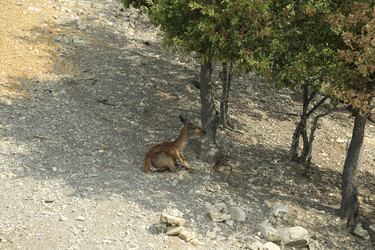 Similar image 21899469