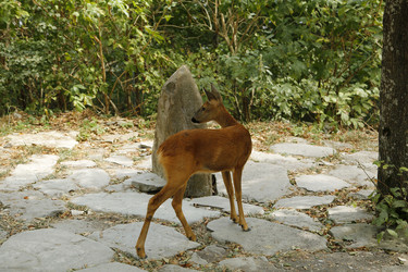 Similar image 21899473