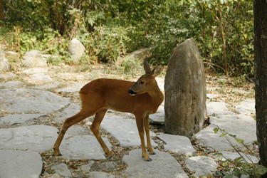 Similar image 21899474