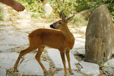 Similar image 21899475