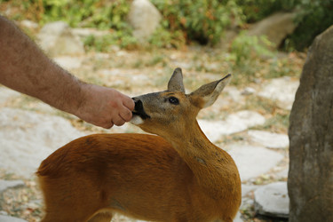 Similar image 21899476