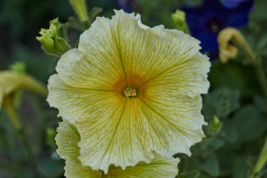 Similar image 21898384