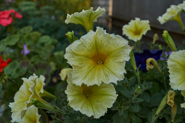 Similar image 21898385