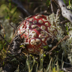 Similar image 21898016