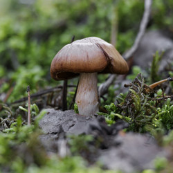 Similar image 21898018