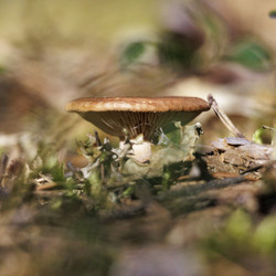 Similar image 21898019