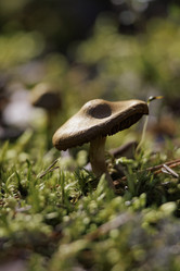 Similar image 21898020