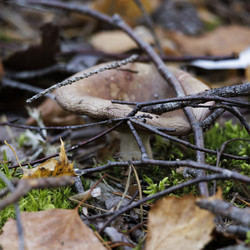 Similar image 21898022