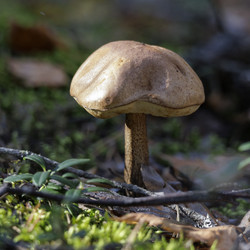 Similar image 21898023