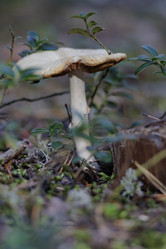 Similar image 21898024