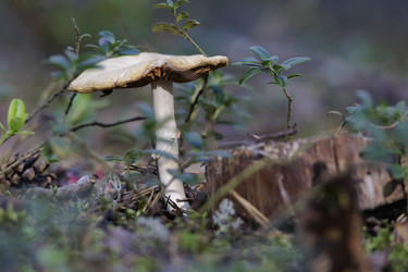 Similar image 21898025