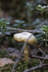 Similar image 21898026