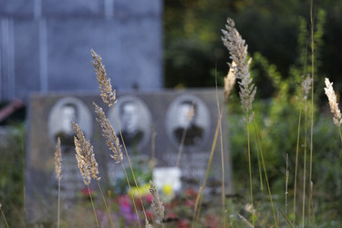 Similar image 21898027