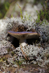 Similar image 21898028