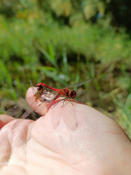 Similar image 21897588