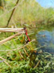 Similar image 21897590