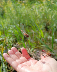 Similar image 21897591