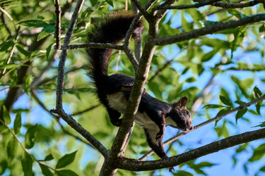 Similar image 21897805