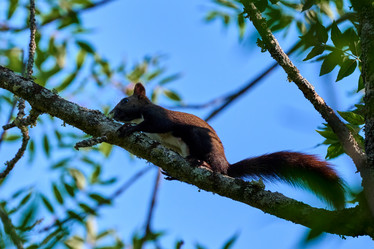 Similar image 21897806