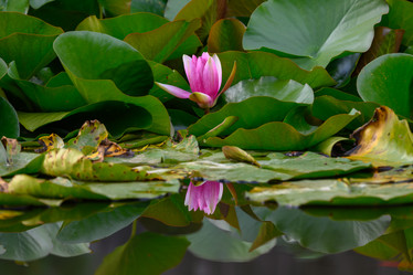 Similar image 21897808